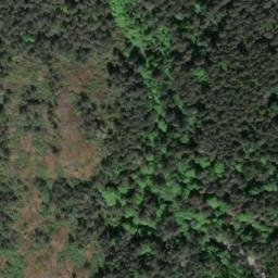 Satellite imagery of Mount Douglas, CA