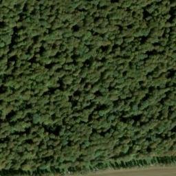 Satellite imagery of Hohe Warte, DE