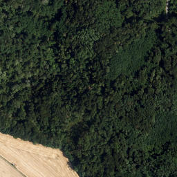 Satellite imagery of survey_point, AT