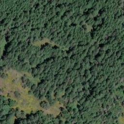 Satellite imagery of Wolf Hill, CA