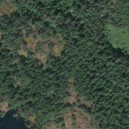 Satellite imagery of Seymour Hill, CA