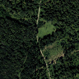 Satellite imagery of Altenberg, AT