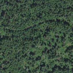 Satellite imagery of Wolf Hill, CA