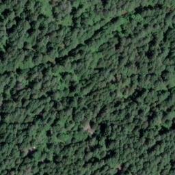 Satellite imagery of Wolf Hill, CA