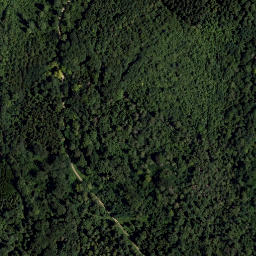 Satellite imagery of Altenberg, AT