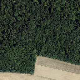 Satellite imagery of Braunsberg, AT
