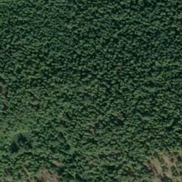 Satellite imagery of Gold Ridge, US