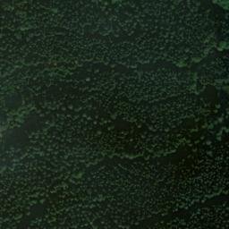 Satellite imagery of Braunberg, DE