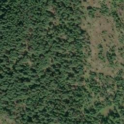 Satellite imagery of Gold Ridge, US