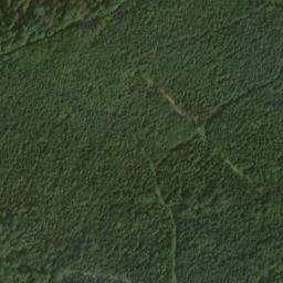 Satellite imagery of Lausbühl, DE