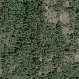 Satellite imagery of Trap Mountain, CA