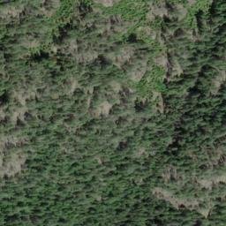Satellite imagery of Trap Mountain, CA