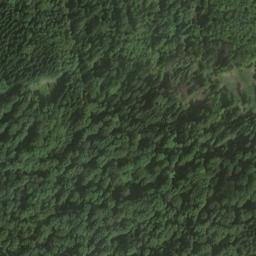 Satellite imagery of Lausbühl, DE