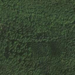 Satellite imagery of Lausbühl, DE