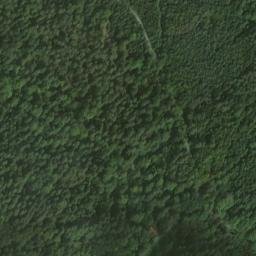 Satellite imagery of Lausbühl, DE