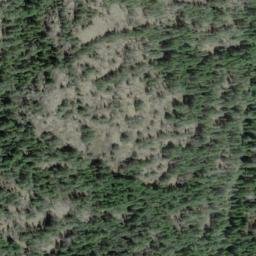 Satellite imagery of Bluff Mountain, CA