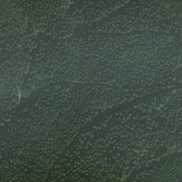 Satellite imagery of Überskopf, DE