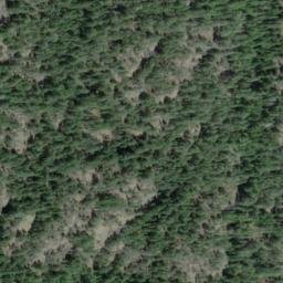 Satellite imagery of Bluff Mountain, CA