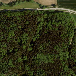 Satellite imagery of Bachberg, DE