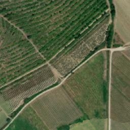 Satellite imagery of survey_point, SK