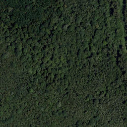 Satellite imagery of Knieberg, AT