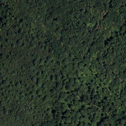 Satellite imagery of Dahberg, AT