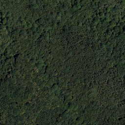 Satellite imagery of Knieberg, AT