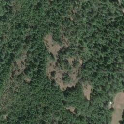 Satellite imagery of Buck Hill, CA