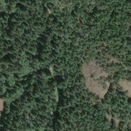 Satellite imagery of Buck Hill, CA