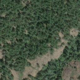 Satellite imagery of Buck Hill, CA