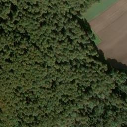 Satellite imagery of Wittloch, DE