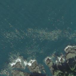 Satellite imagery of Cape Flattery, US
