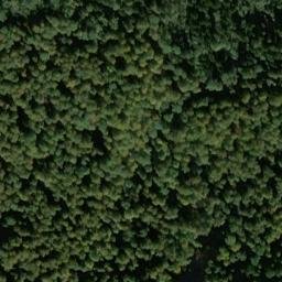 Satellite imagery of Farrenberg, DE