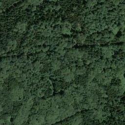 Satellite imagery of Dachsberg, DE