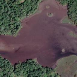 Satellite imagery of Whitney-Griffiths Point, CA