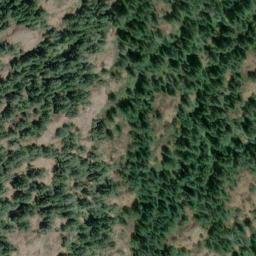 Satellite imagery of Broom Hill, CA
