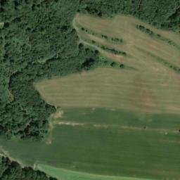 Satellite imagery of Dachsberg, DE