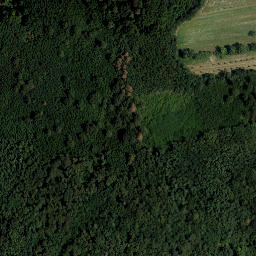 Satellite imagery of Donaubrunnfeld, AT