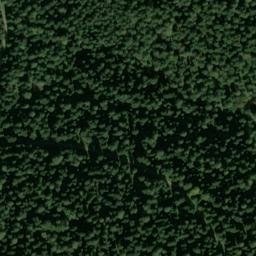 Satellite imagery of Gütschkopf, DE