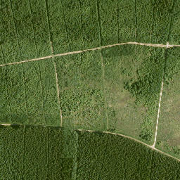 Satellite imagery of Roter Berg, DE