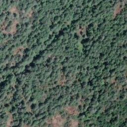 Satellite imagery of Watt Point, CA