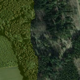 Satellite imagery of Schiesserkopf, DE