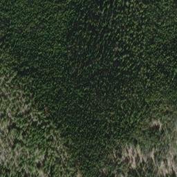 Satellite imagery of Snowshoe Ridge, US