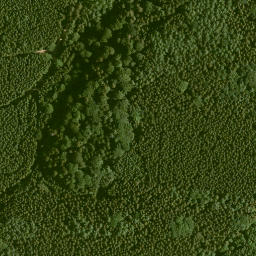 Satellite imagery of Rauhenberg, DE