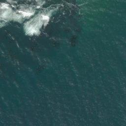 Satellite imagery of Waatch Point, US