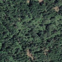 Satellite imagery of South Rise Hill, CA