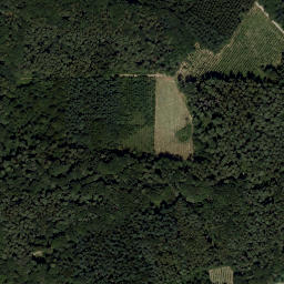 Satellite imagery of Seelackenberg, AT