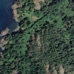 Satellite imagery of South Rise Hill, CA