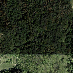 Satellite imagery of Elisabethhöhe, AT