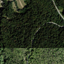 Satellite imagery of Elisabethhöhe, AT